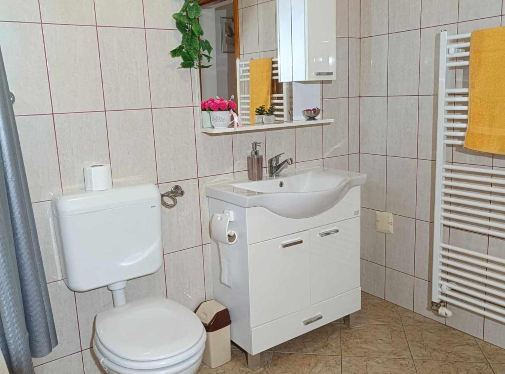 Apartmani Tea I Toni Gradiste Buitenkant foto